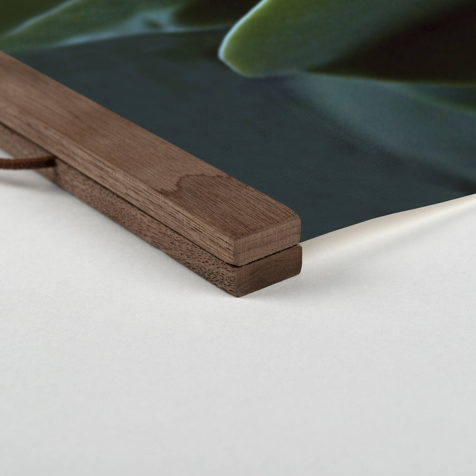Close Up Leaf Stalk Teak Hanging Canvas